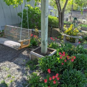 tulips beside a porch swing