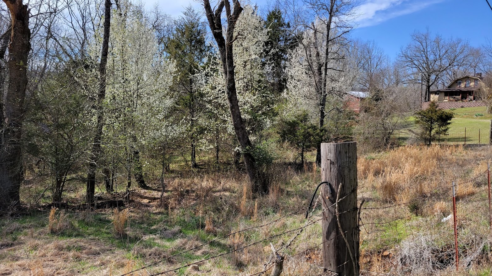 Springerville Homestead Springtime on the Homestead - Roads to Everywhere