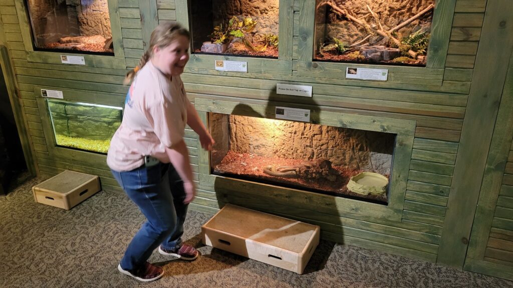 Live snake in a display case in the Hobbs State Park Visitor Center.
